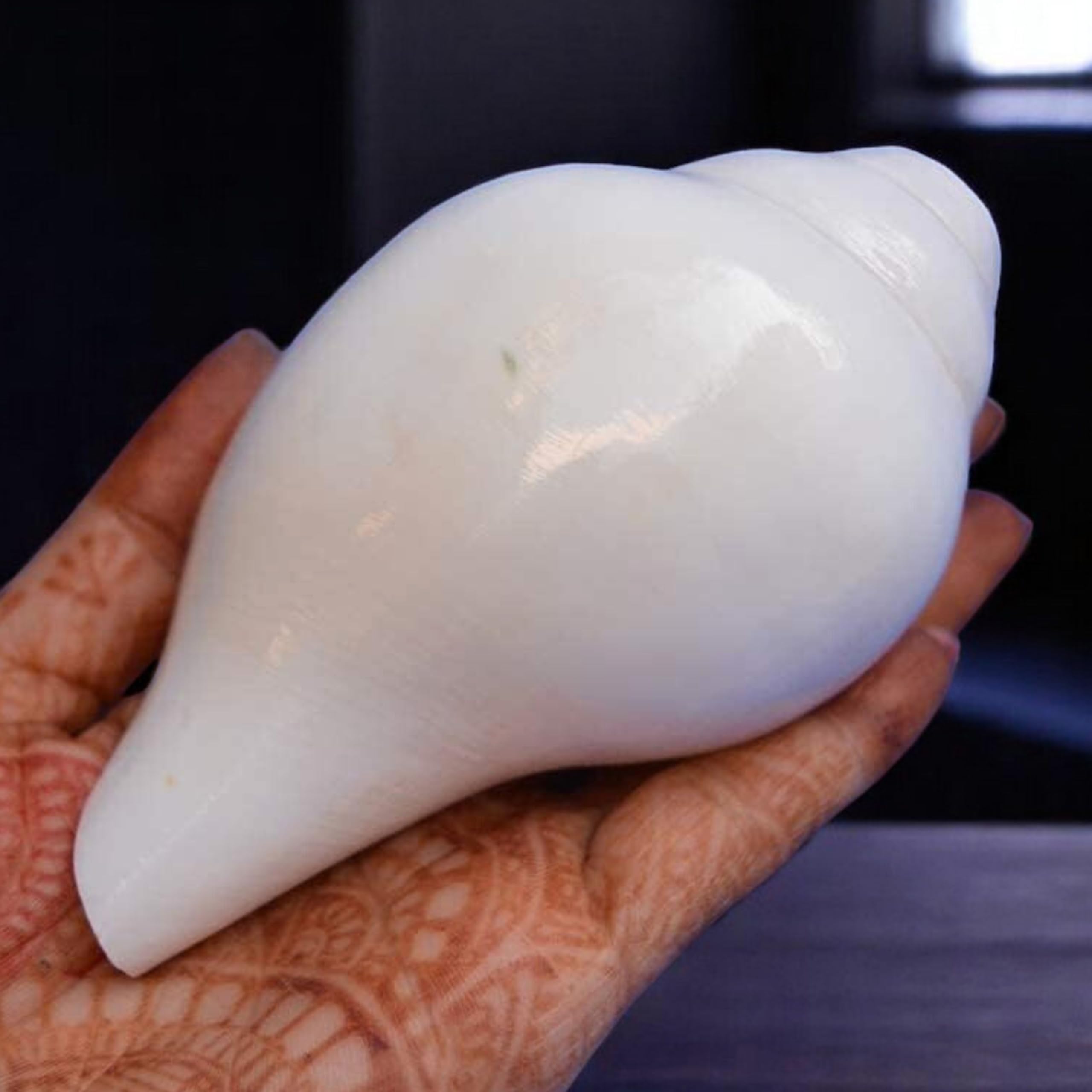 Original Blowing Shankh (VAMAVARTI BAJNEWALA) - Conch Shell - strong & Big Vamavarti Blowing Shankh (white) ~ Shankha Conch Shankh - Shankh Shell Shankh for lung strength / immunity 5 "inch