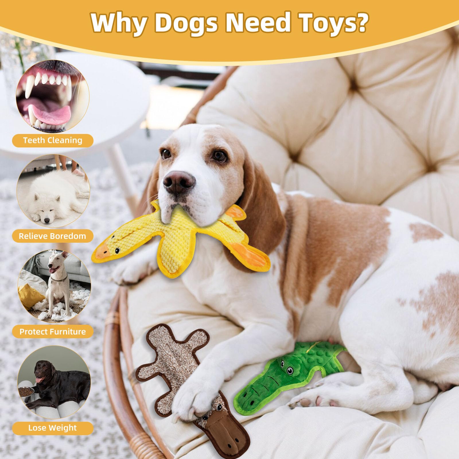 CHAWONER 3 Pack Squeaky Dog Toys, Interactive No Stuffing Crocodile Duck Platypus Chew Toy with Crinkle Paper - Image 4