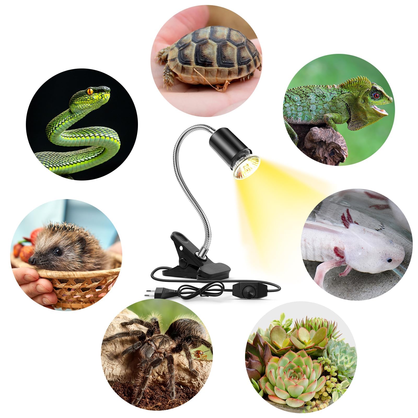 Lampada Tartarughe con 1 Portalampada E27 e 2 50W Lampadine UVA UVB a Punto Basking e Morsetto Girevole a 360° per Rettili, Tartaruga, Serpente, Lucertola, Camaleonte