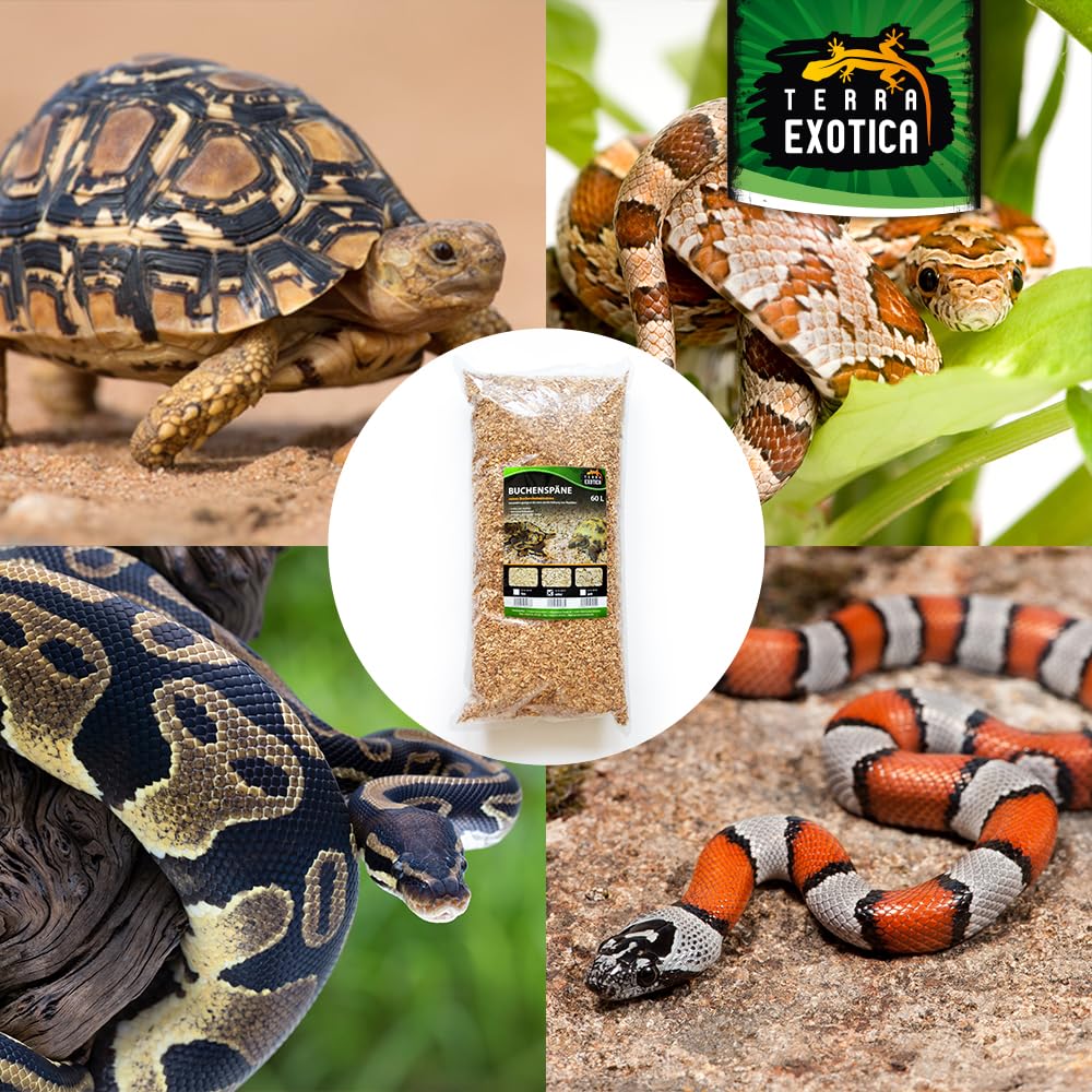 Buchenspäne mittel als Einstreu für Ihr Terrarium in 10, 20 oder 60 Liter - Natürliches Buchenspan geeignet für Reptilien, Vögel und Kleinsäuger (60 Liter)