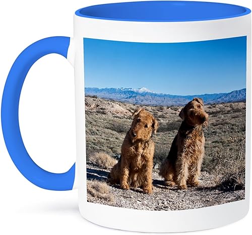 3dRose Danita DelimontPerrosAiredale Terrier Perros, sierra blanco Mtnsus32zmu0029Zandria Muench BeraldoTazas, AzulBlanco