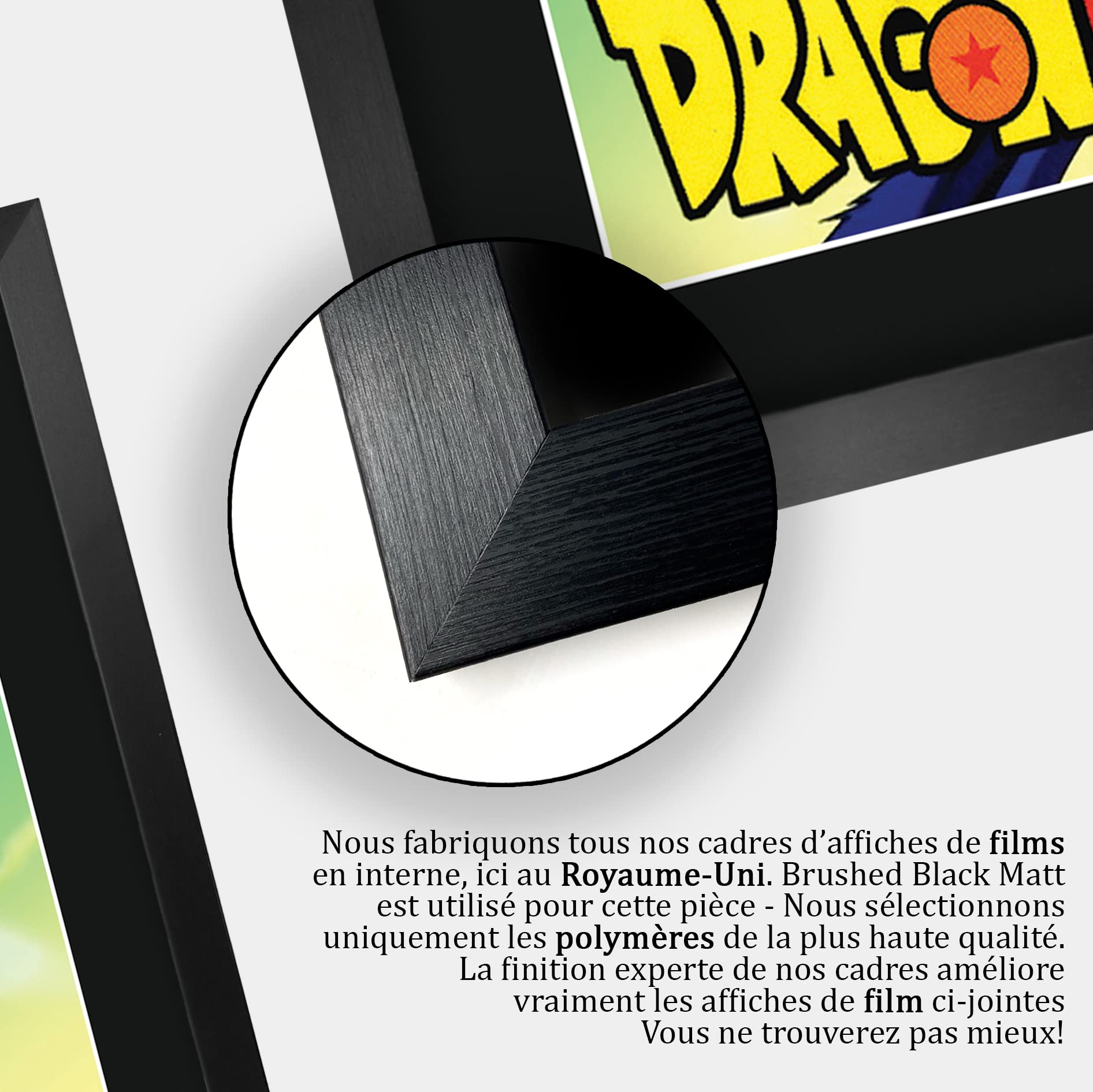 HWC Trading FR A3 Dragonball Z Sean Schemmel Cadeaux Imprimé Signé Autographe Photo Pour Les Fans De Télévision - A3 Encadré : Sean Schemmel