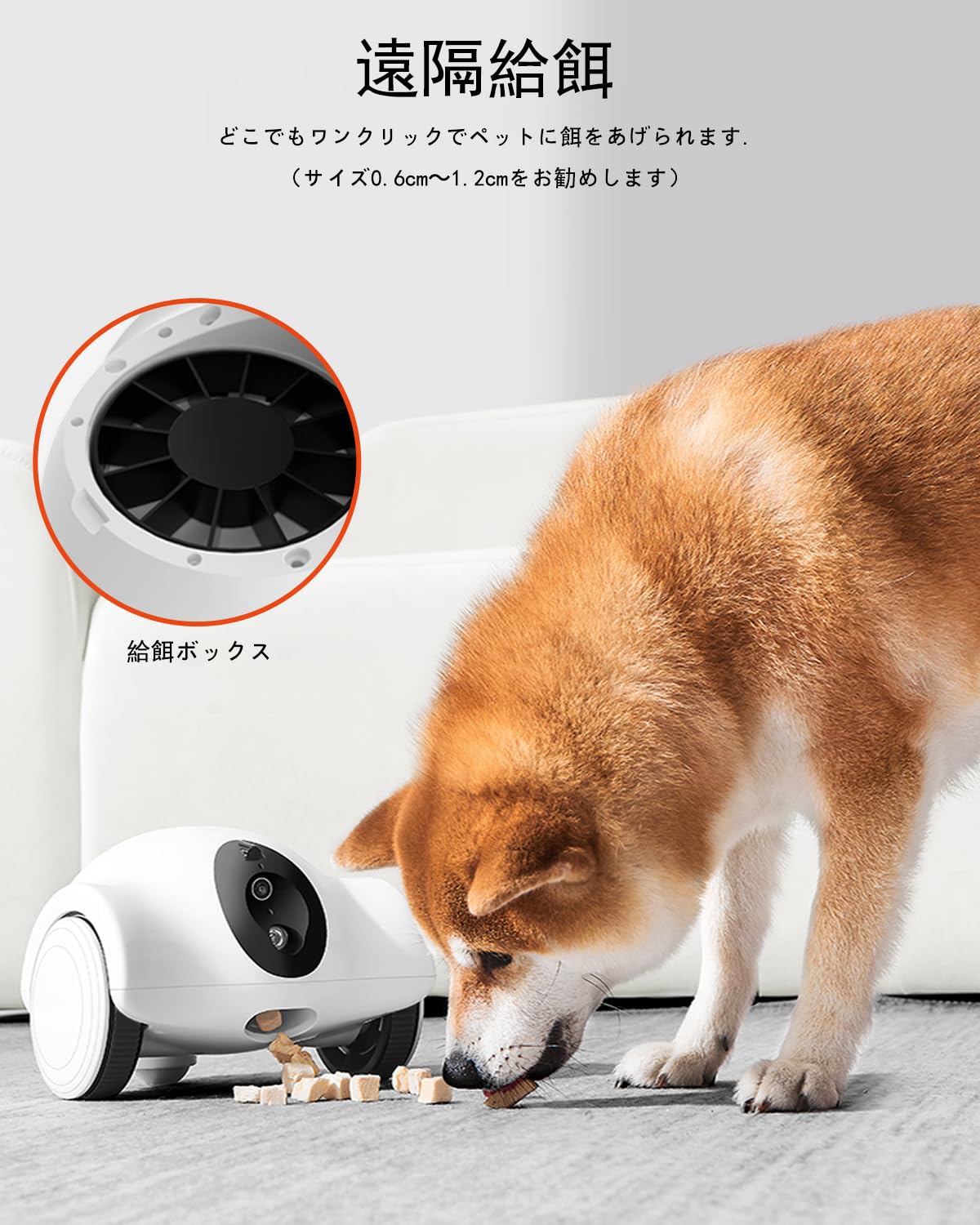 Amazon.co.jp: GULIGULI ペットカメラ Hiibo 部屋全体の中で移動 