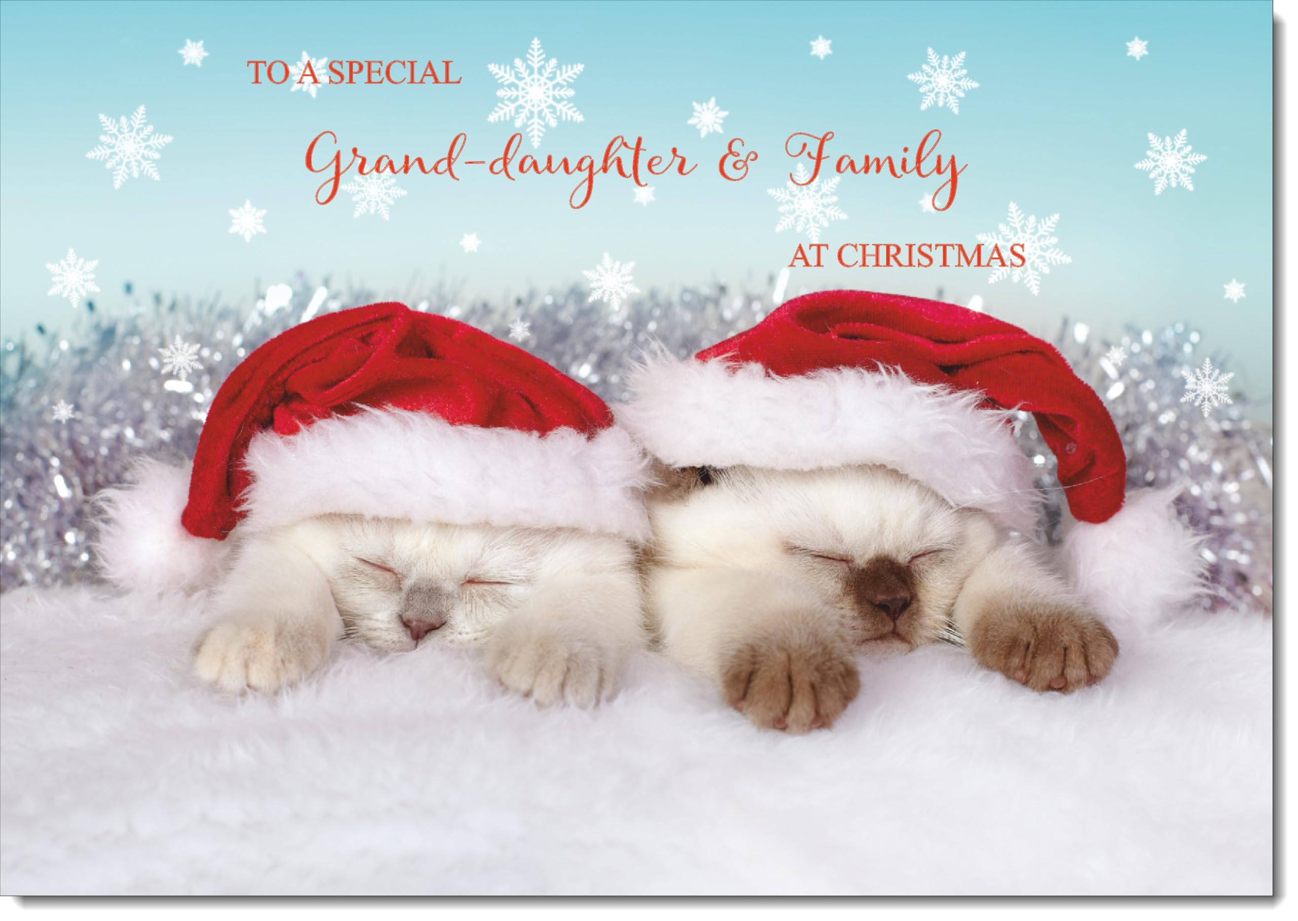 doodlecards Granddaughter and Family Christmas Card Two Cats with Santa Hats Large A4 Size Christmas Card for Granddaughter & Family with Plain Envelope — image 1