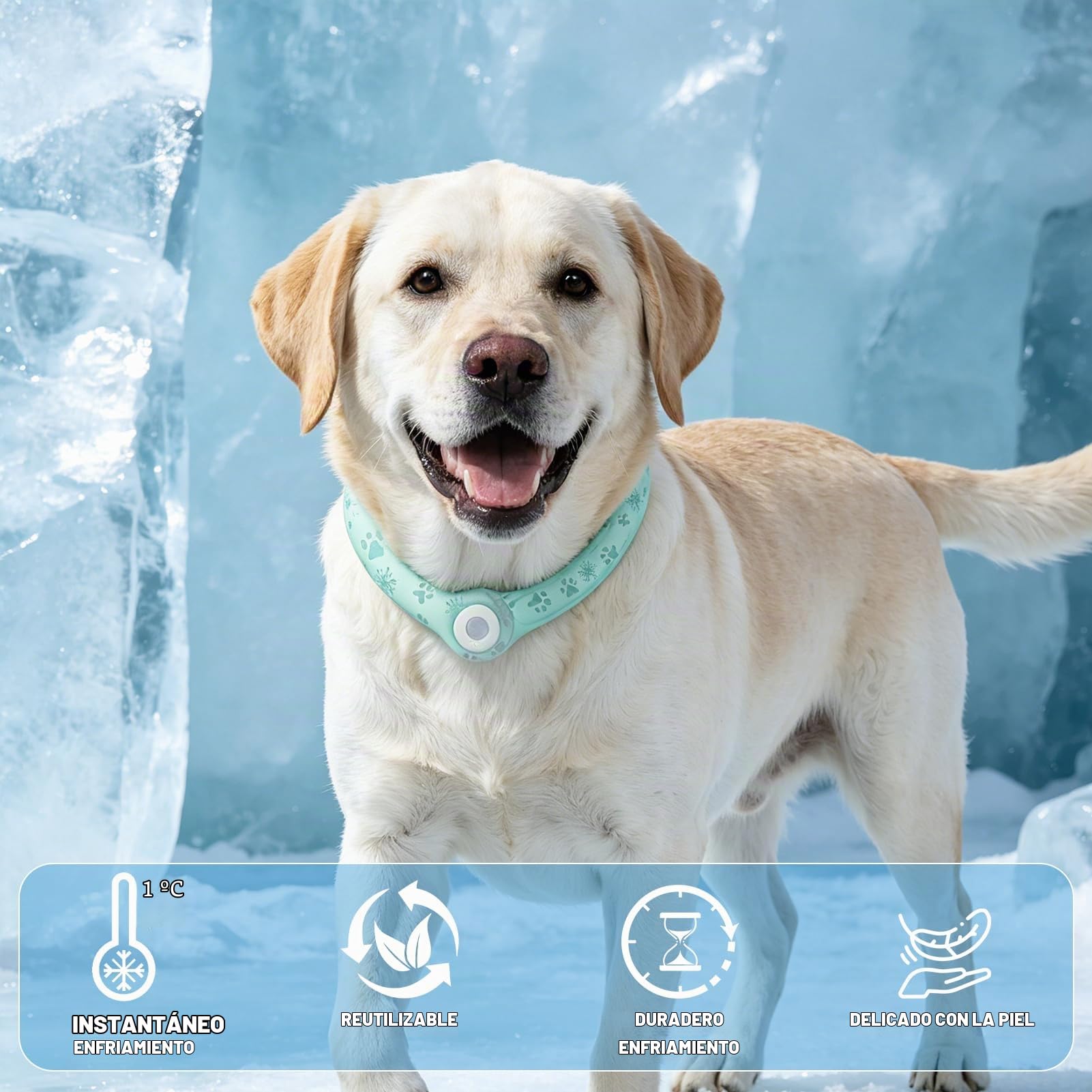 EXPAWLORER Bandana refrescante para perros - Collar de enfriamiento instantáneo PCM para perros, pañuelo fresco de verano para perros pequeños, medianos y grandes, verde, talla M