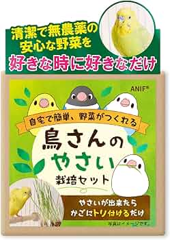 【うさぎ】鳥の餌セット 71BrlytGEmL._AC_UF350,