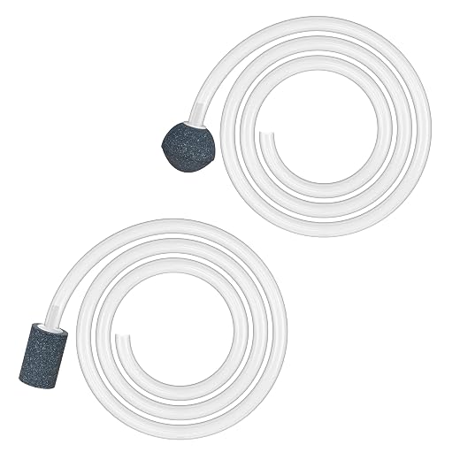Silicone Air Pipe and Diffuser Stone for Portable Ozone Machines - Enhance Water & Food Purification, Durable Replacement Accessory
