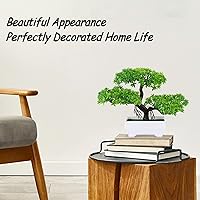 Vista 3 de Frjjthchy. Mini plantas de bonsái artificiales con macetas de cemento de plástico para la decoración del hogar y la oficina (verde)