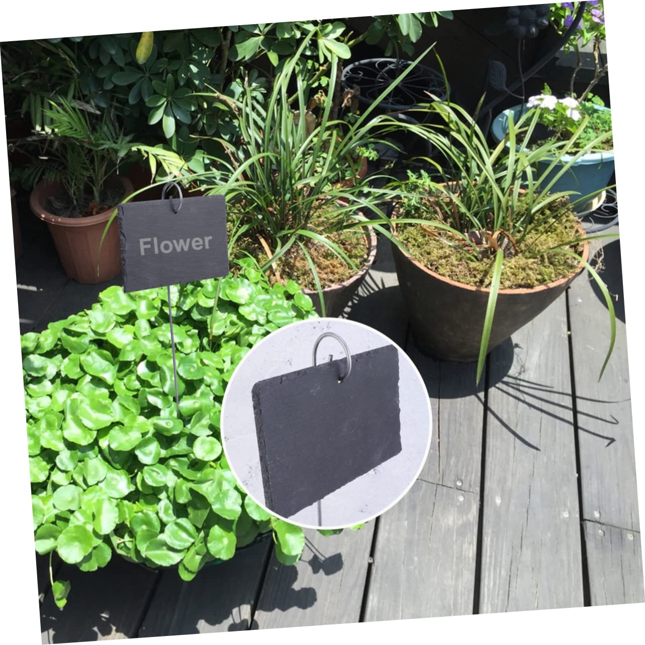 Etiqueta Colgante de Jardinería de Pizarra E Hierro 5 Piezas | Rectangular, Negro, para Flores y Plantas, Uso en Jardín y Rocallas, Clasificación Sencilla