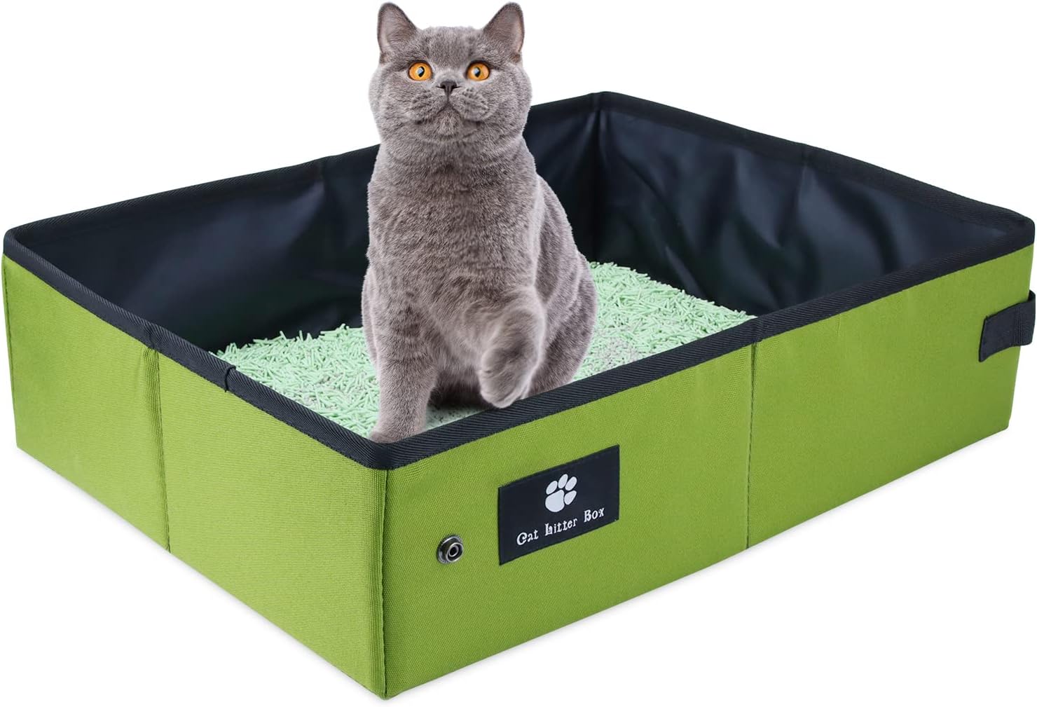 container store litter box