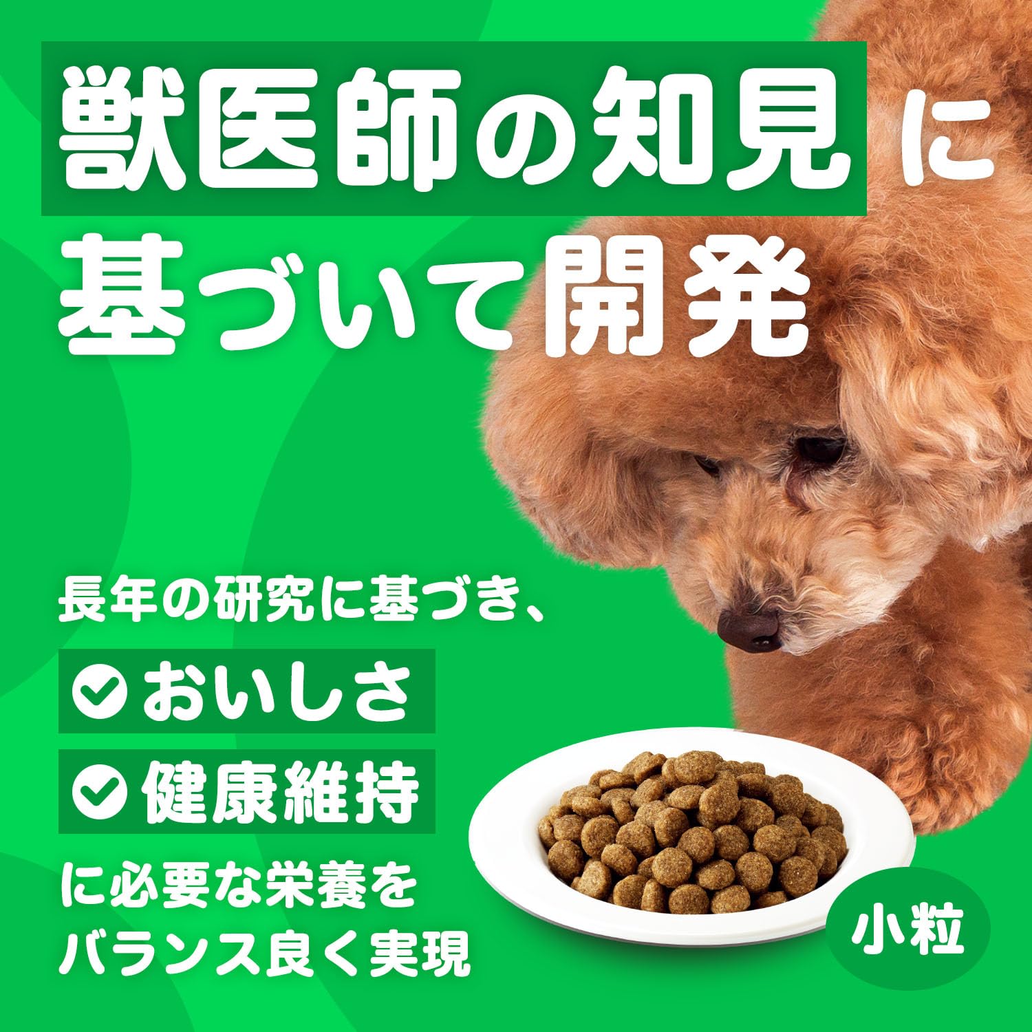 Amazon.co.jp: アイムス (IAMS) ドッグフード 成犬用 健康維持用 小粒