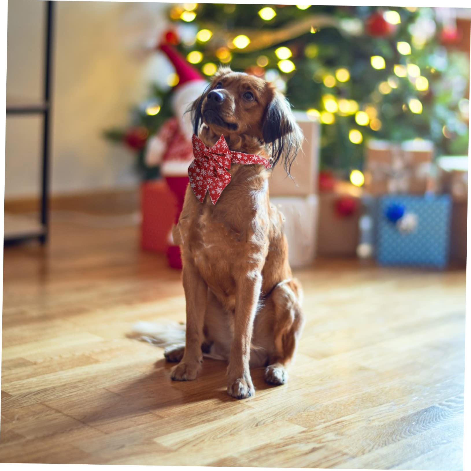 BESTonZON Collier Ajustable pour Chat avec Nœud Décoratif Collier de Noël pour Chaton Accessoires pour Animaux