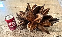 Review Image by amanda b. amanda b.