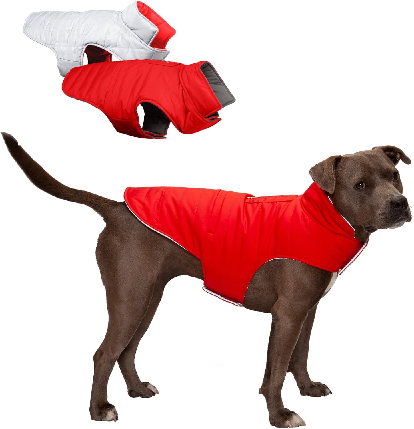 Furhaven Water-Repellent & Reversible Medium Dog Coat, Washable & Reflective w/ Leash Access, Pocket, & Carry-On Purse - Puffer Dog Jacket - Red, Medium