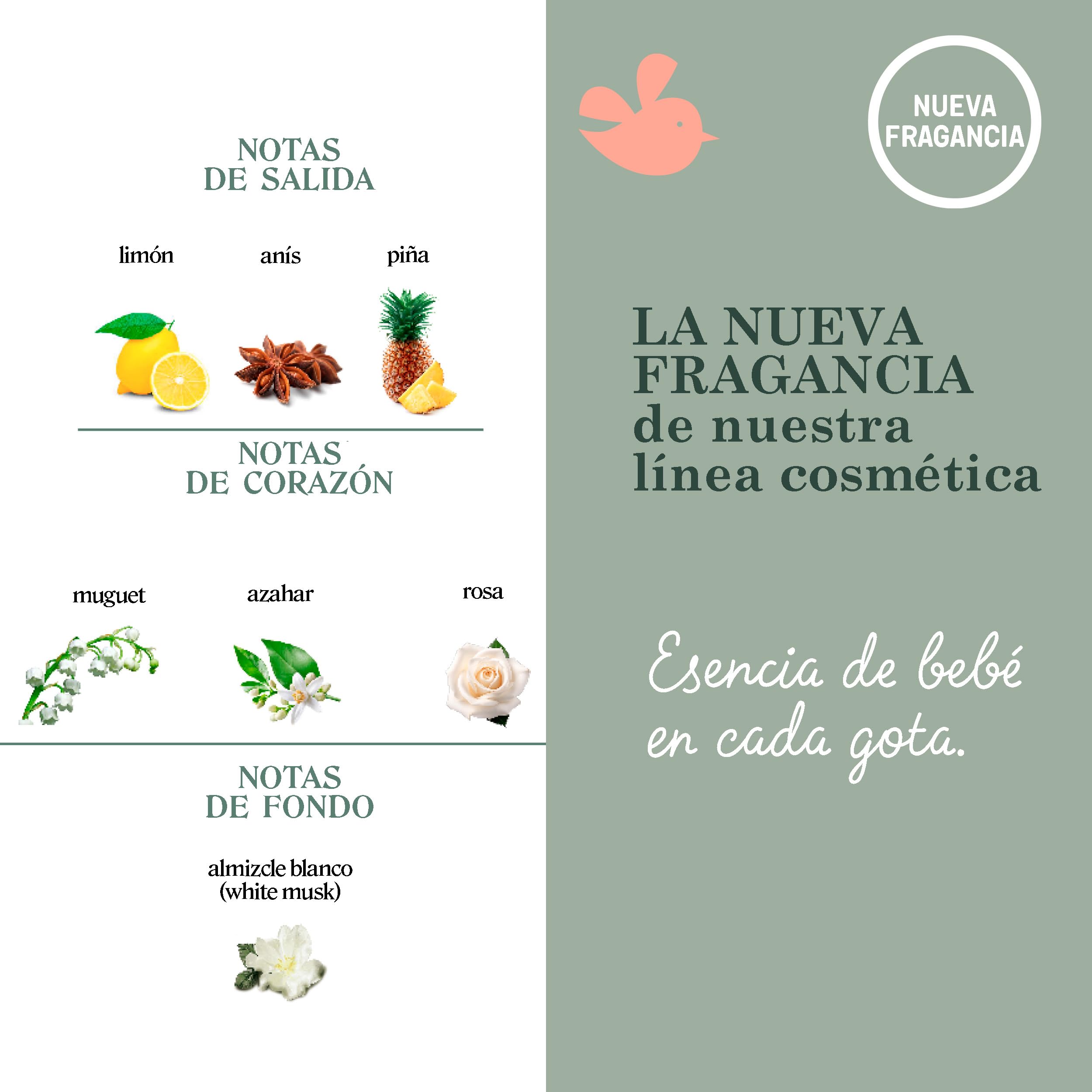 Suavinex, Baby Cologne Bliss, Agua de Colonia para Bebés Baja en Alcohol, No Mancha la Ropa, Fresca, Aroma Delicado y Suave, con Vaporizador, Olor a Bebé, para Toda la Familia, 100 ml