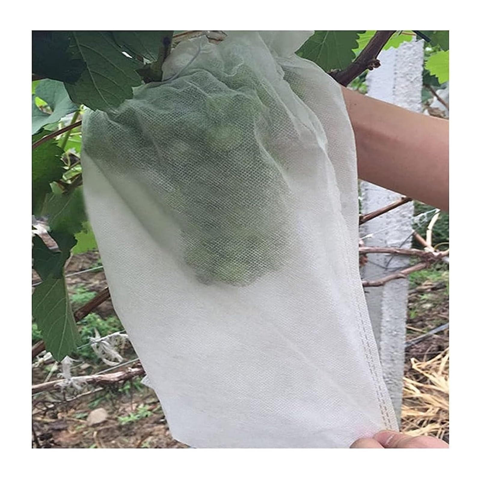 Bolsa de Malla de Tela no Tejida for Frutas y Verduras, antiinsectos,Bolsas Protectoras para Fruta(20x30cm)