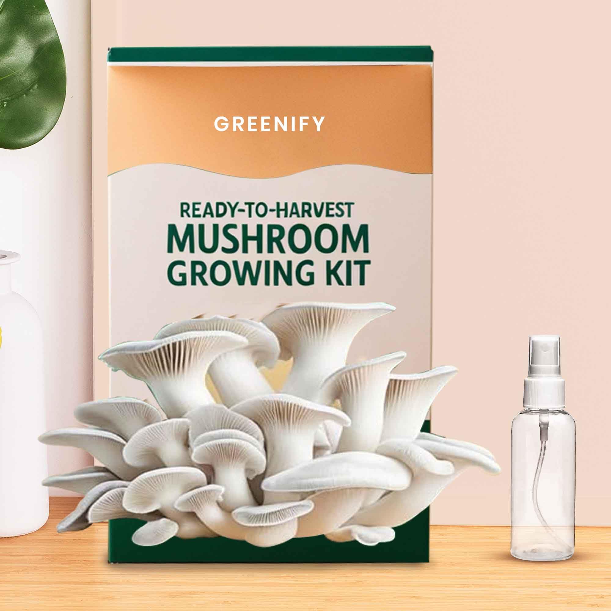 Greenify Ready-to-Harvest Mushroom Growing Kit 1.8 Kg with Spray Bottle | Grow Fresh Mushrooms at Home | Nutrient-Rich Substrate & Premium Mushroom Spawn | Indoor Gardening & Culinary Creations
