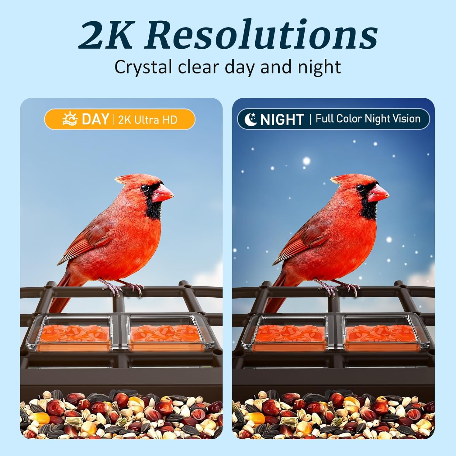 Festival Gift for Bird Lovers, Mom, Dad & Kids: Solar-Powered Smart Bird Feeder with Camera - AI Identify 10K+ Birds, 2K HD Live, WiFi Outdoor Garden Birdhouse Cam - Image 5