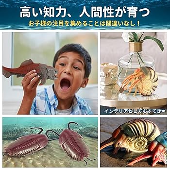 Amazon.co.jp: UTST オウムガイ フィギュア アンモナイト