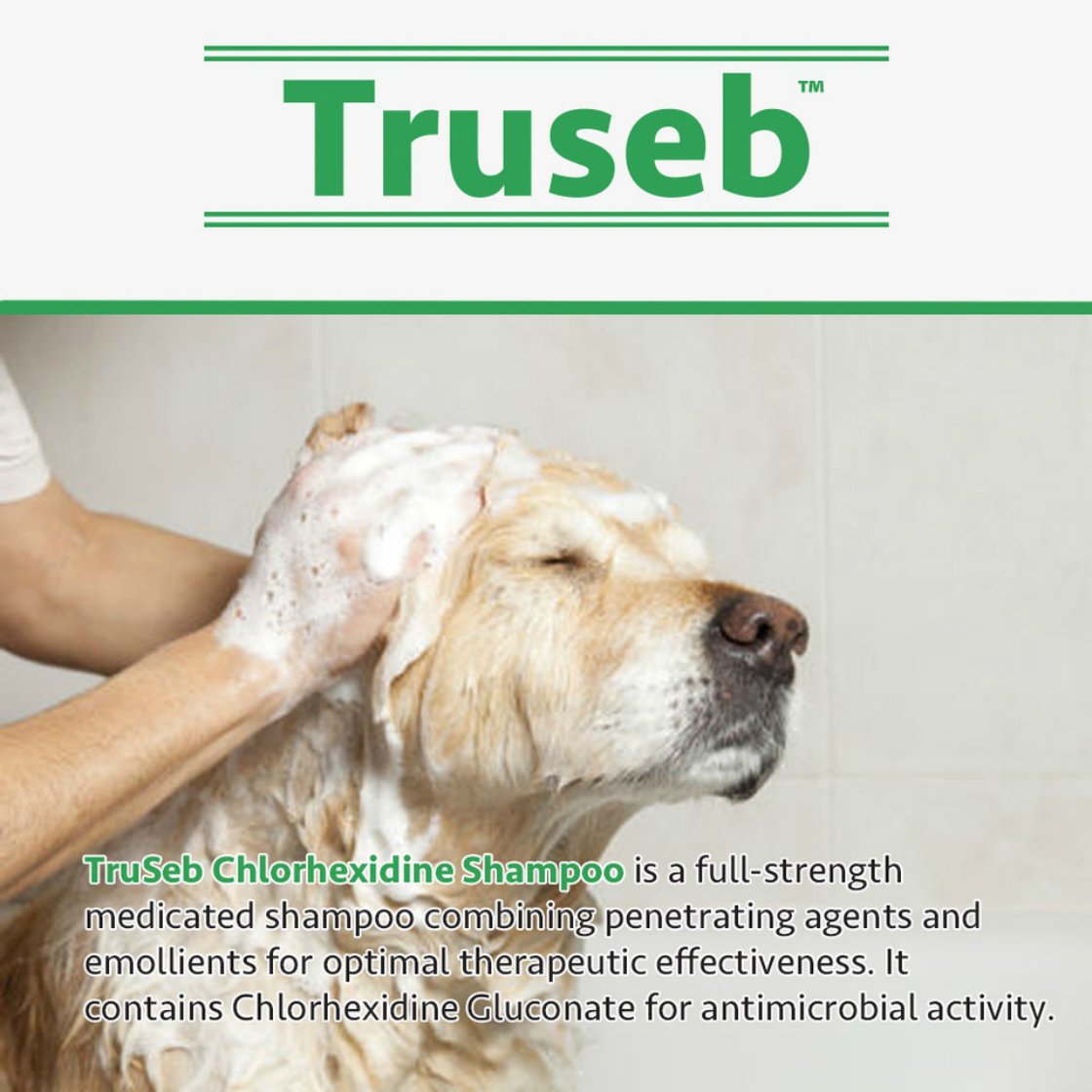 Buy Truseb 1 Chlorhexidine 4 Shampoo for Dogs, puppies & Cats