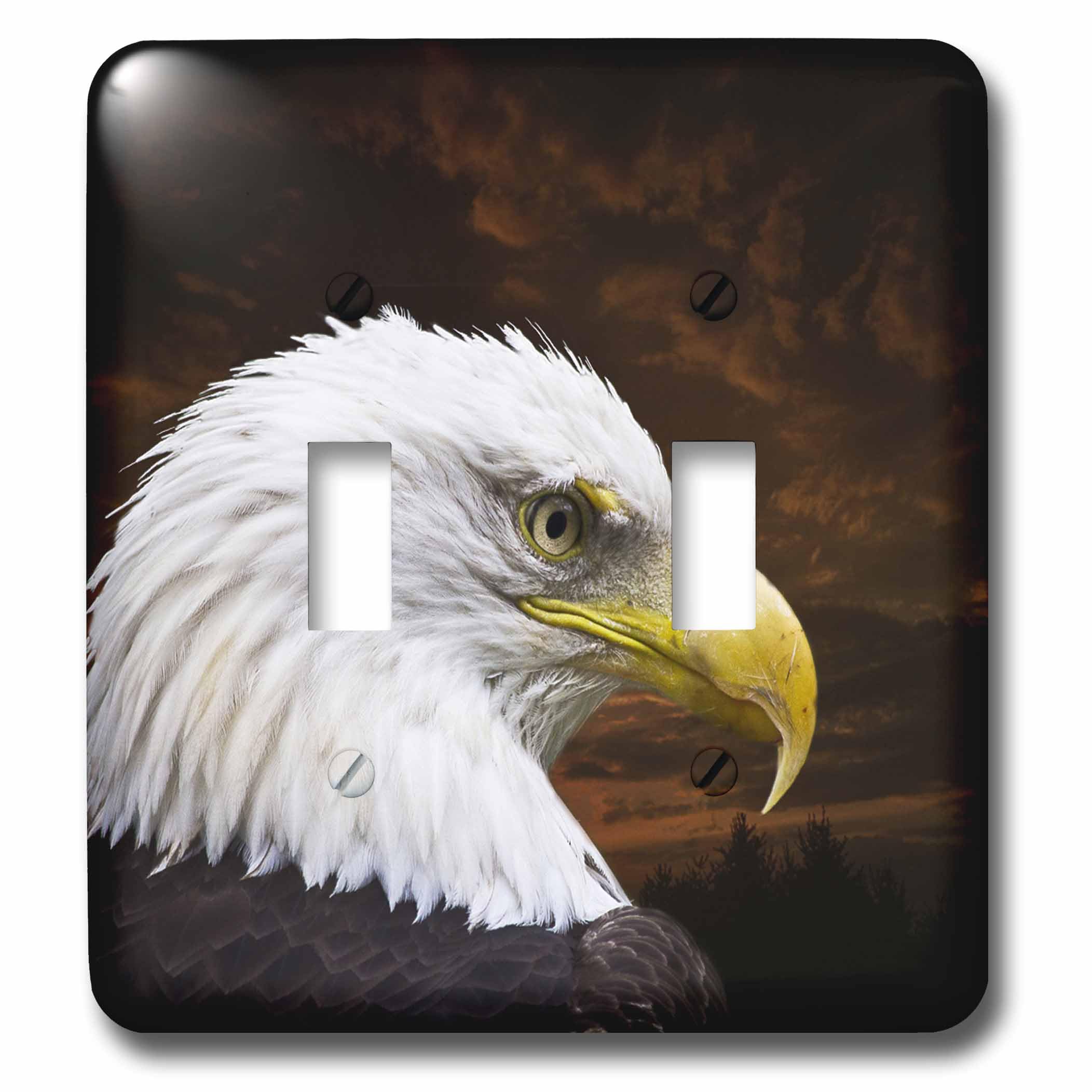 Plaque double interrupteur de qualité supérieure motif aigle 3dRose lsp_48674_2