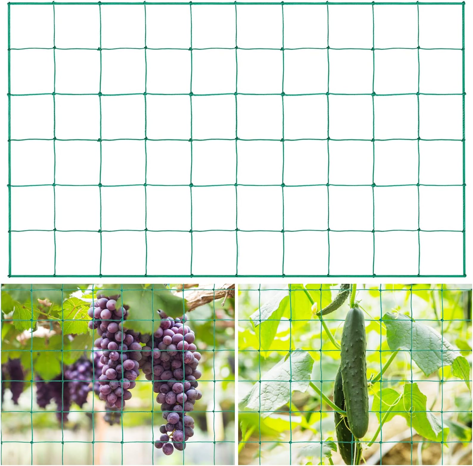 Rete A Traliccio Supporto Per Piante Da Giardino Vite Rampicante Rete Flessibile Per Cetrioli 94735855