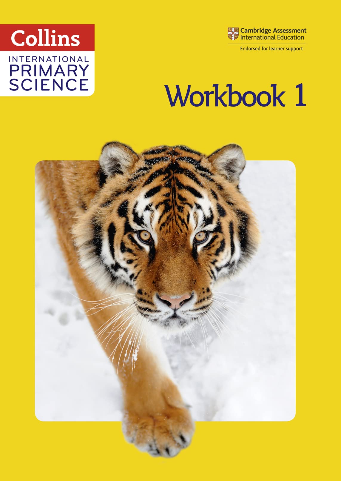 International Primary Science Workbook 1 Paperback – 1 September 2014