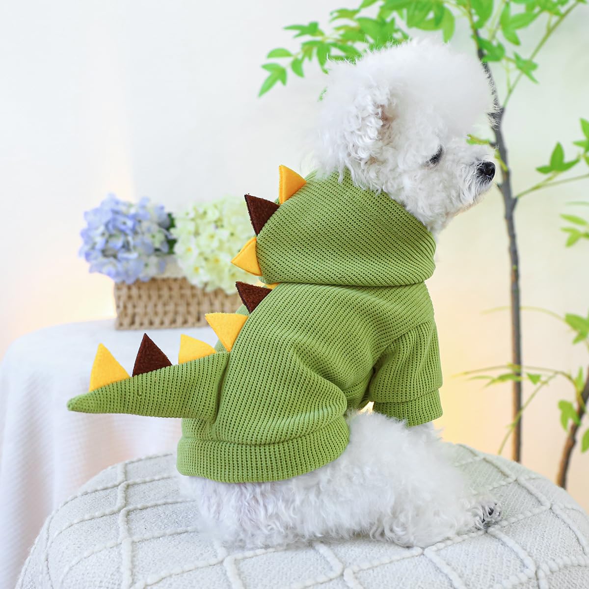 Unbranded Female Dog Apparel Girl Dog T-Shirt For Small To Medium Dogs - Cute  Clothes For Maltese & Similar Breeds Dog Clothes For Yorkie Pomeranian
