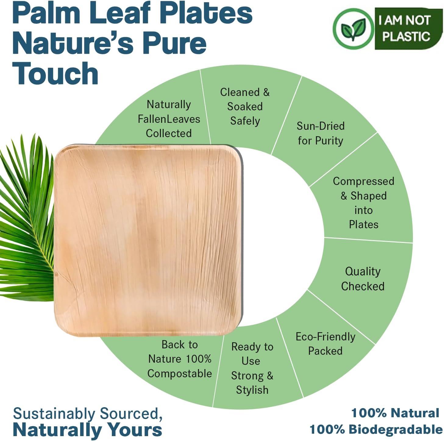 Bulk 7" Square Palm Leaf Plates (50-Count) - 100% Natural & Compostable Modern Eco Plates for Professional Use