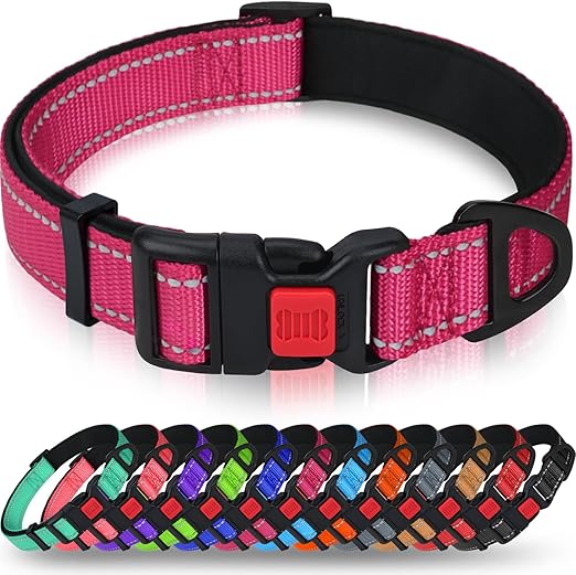 Taglory Reflective Dog Collar with Safety Locking Buckle, Adjustable Nylon Pet Collars for Medium Dogs Female Male, Hot Pink, M