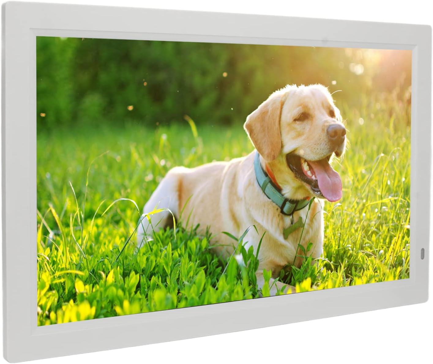 Sanpyl 22in HD Digital Photo Frame displaying a dog in a field