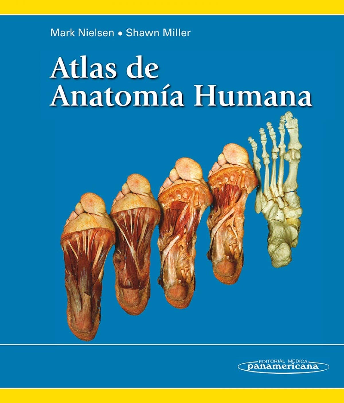 Atlas de Anatomía Humana