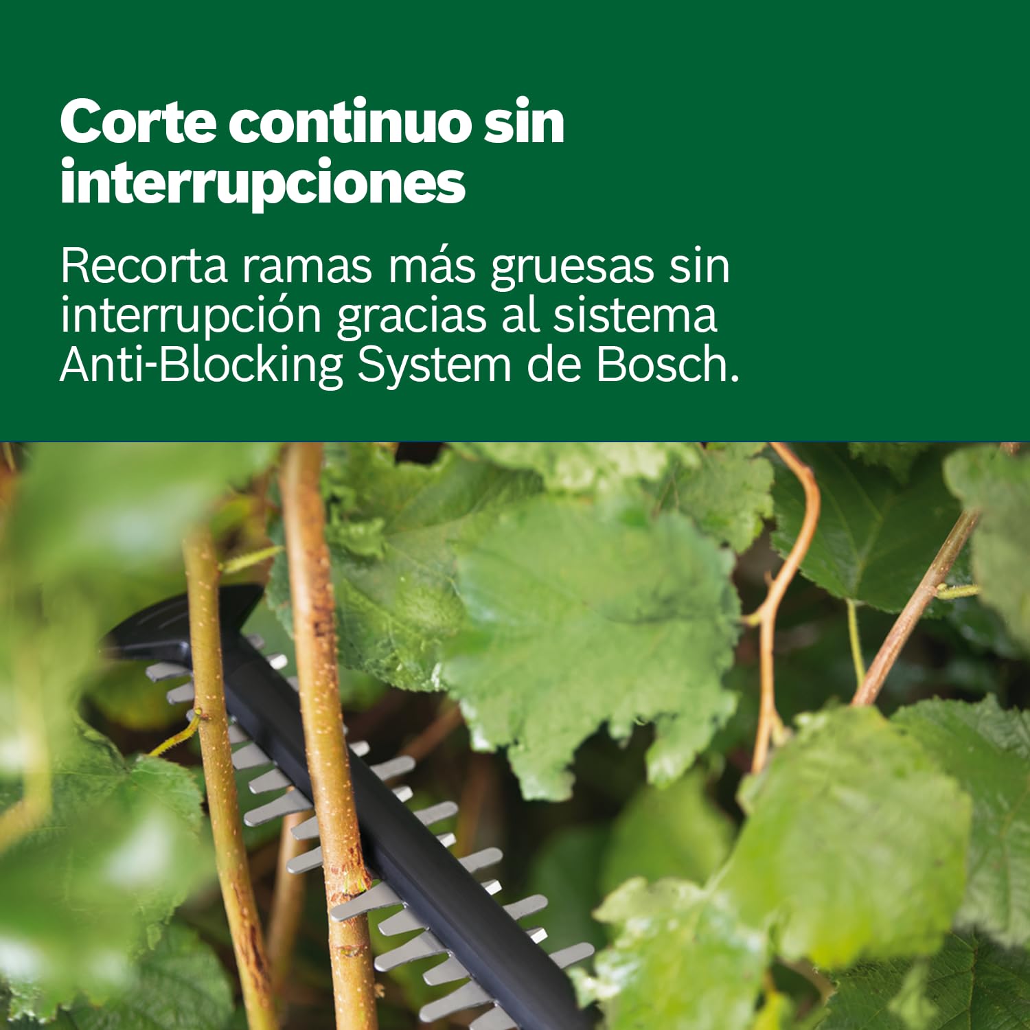 Bosch Home and Garden UniversalHedgeCut 18V-50, Cortadora de Setos a Batería, Sin Batería, Sistema de 18 Voltios, Longitud de la Sierra 50 cm, Embalaje en Caja