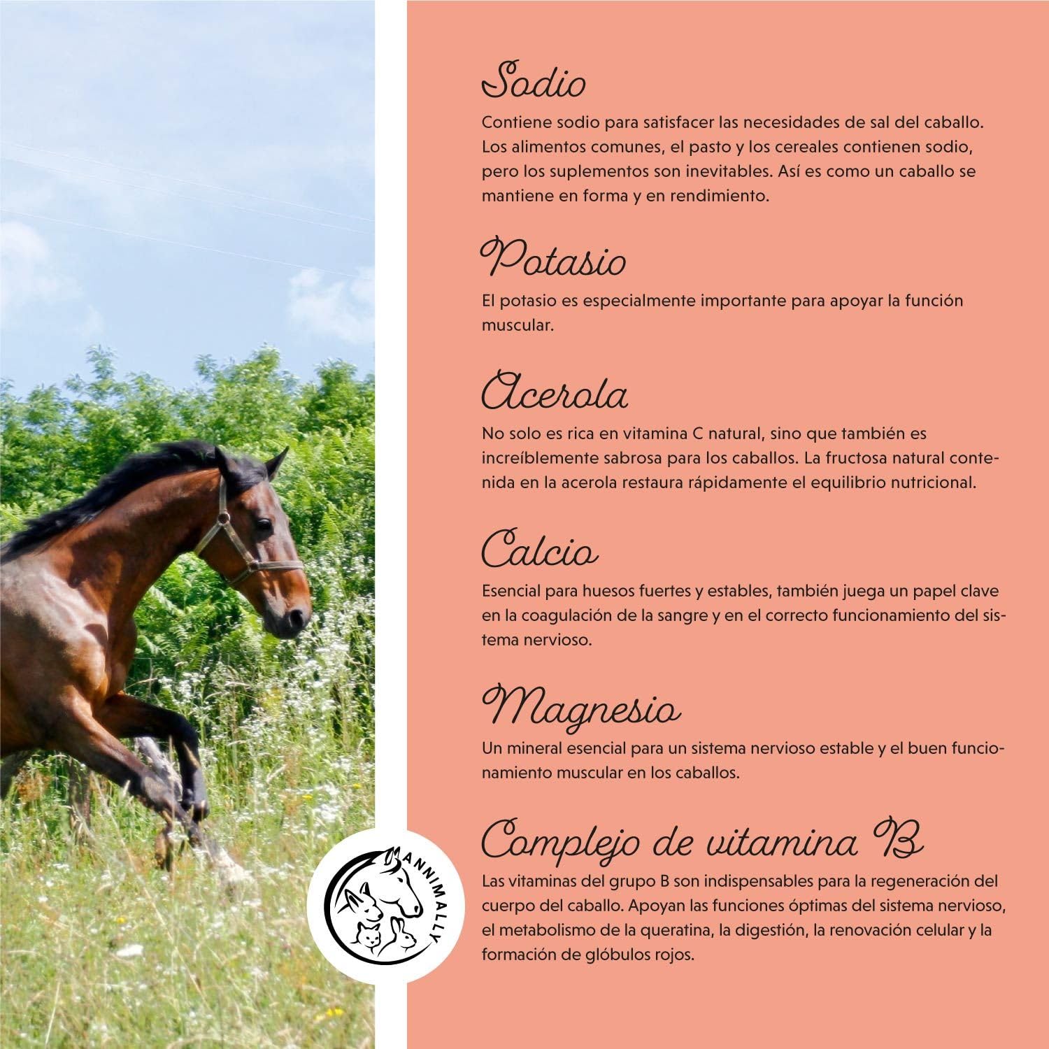 Annimally Electrolitos Líquidos para Caballos 1000ml con Sodio, Potasio, Acerola, Calcio, Magnesio y Vitamina B líquida - Electrolitos Líquidos sin azúcares añadidos.