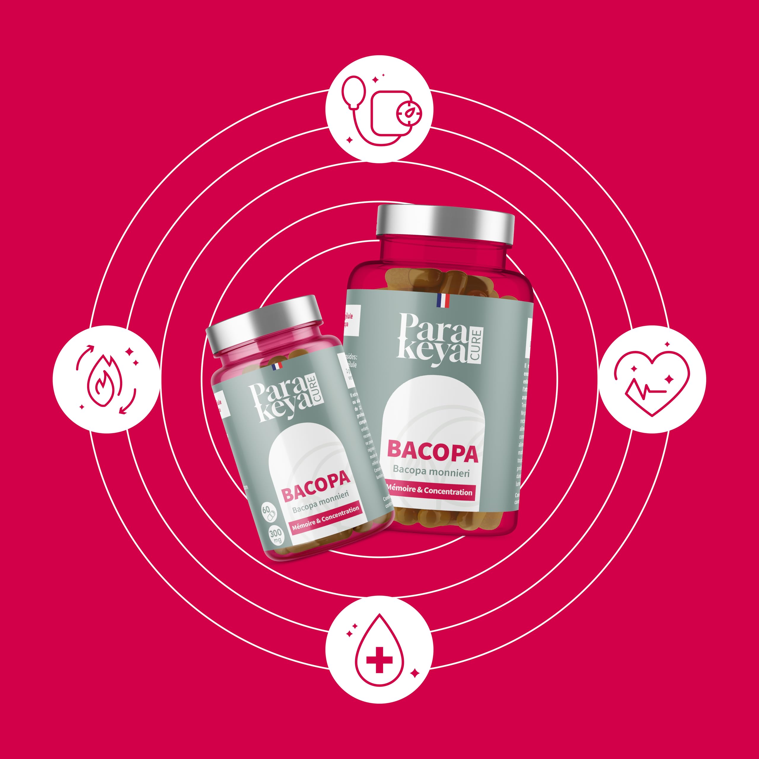 Bacopa 300 mg| Mémoire et Concentration|Complément alimentaire|180 gélules
