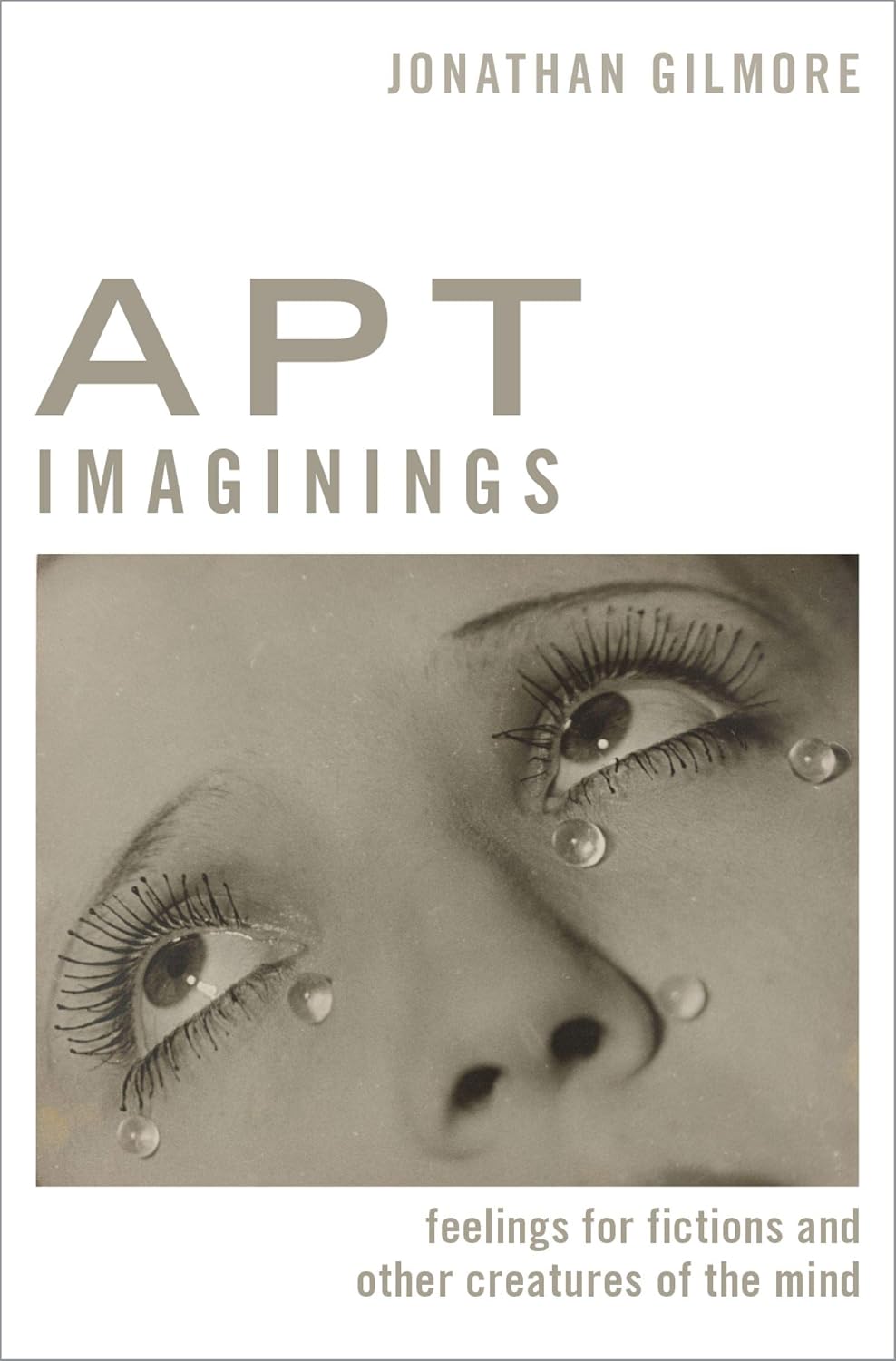 Apt Imaginings: Feelings for Fictions and Other Creatures of the Mind (Thinking Art)