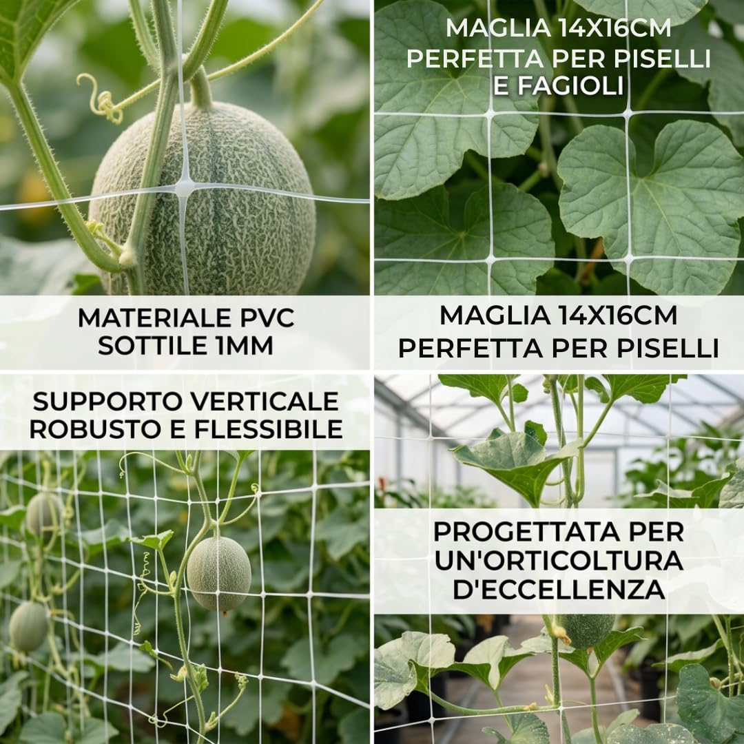 MAKA Rete Rampicanti Orto Bianca Supporto Fiori Piante che Crescono Verticali Rete PVC A Maglia Larga 14x16cm ideale Coltivazione Pomodori Piselli Fagioli Cetrioli Interno Esterno (2x100 metri)