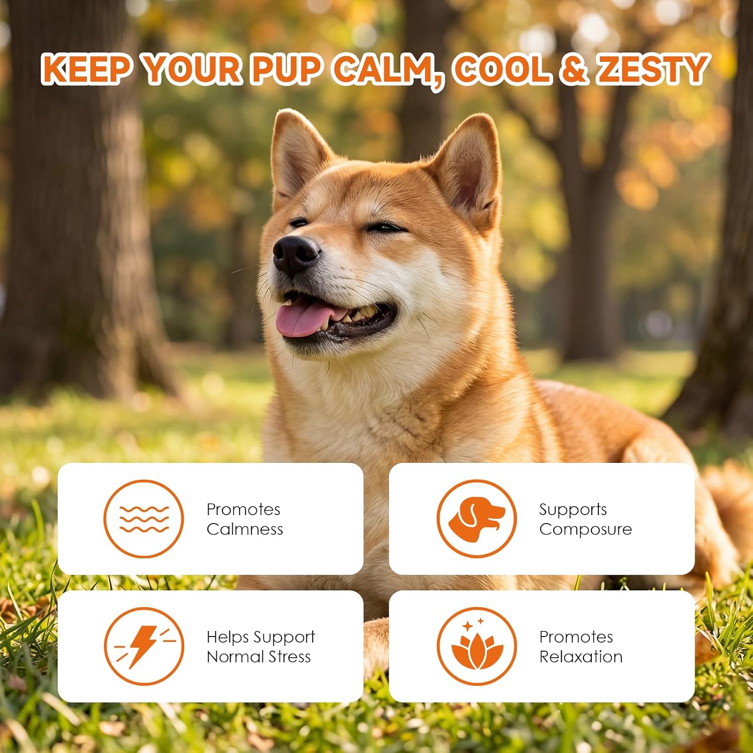 Dog Calming Chews, Bacon Flavor - Calming Treats for Dogs for Separation Anxiety | Anxiety Relief for All Breeds, Puppies & Adult Dogs, 120 Count