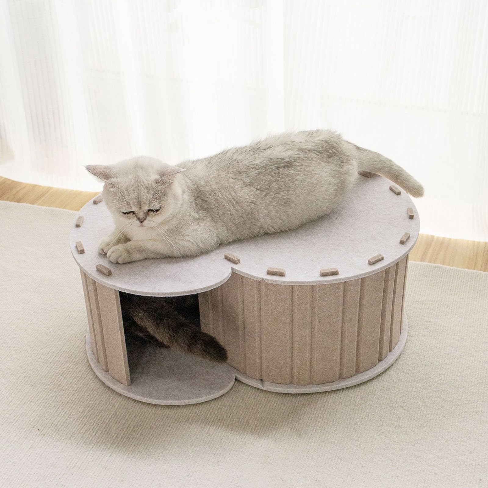 Divertente tunnel per gatti, giocattolo interattivo, rotondo, in lana, giocattolo per addestramento per piccoli animali domestici