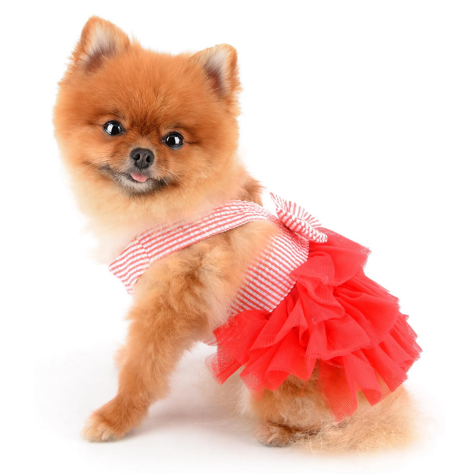 PAIDEFUL Small Dog Dress Striped Denim Organza Bow Beads Tutu Skirt Summer Soft Comfortable Breathable Puppy Clothes Sleeveless Button Kitten Apparel - Image 4