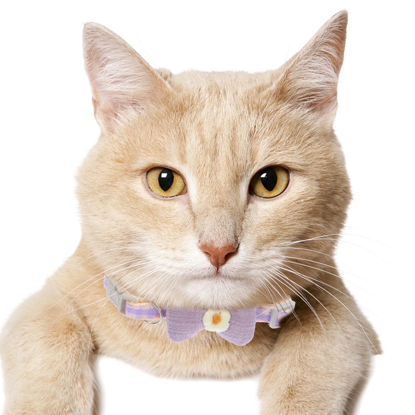 POPETPOP 10stücke Dekoratives Katzenhalsband Mit Schleife Anpassbares Festliches Hundehalsband Für Tägliche Nutzung Und Besondere Anlässe