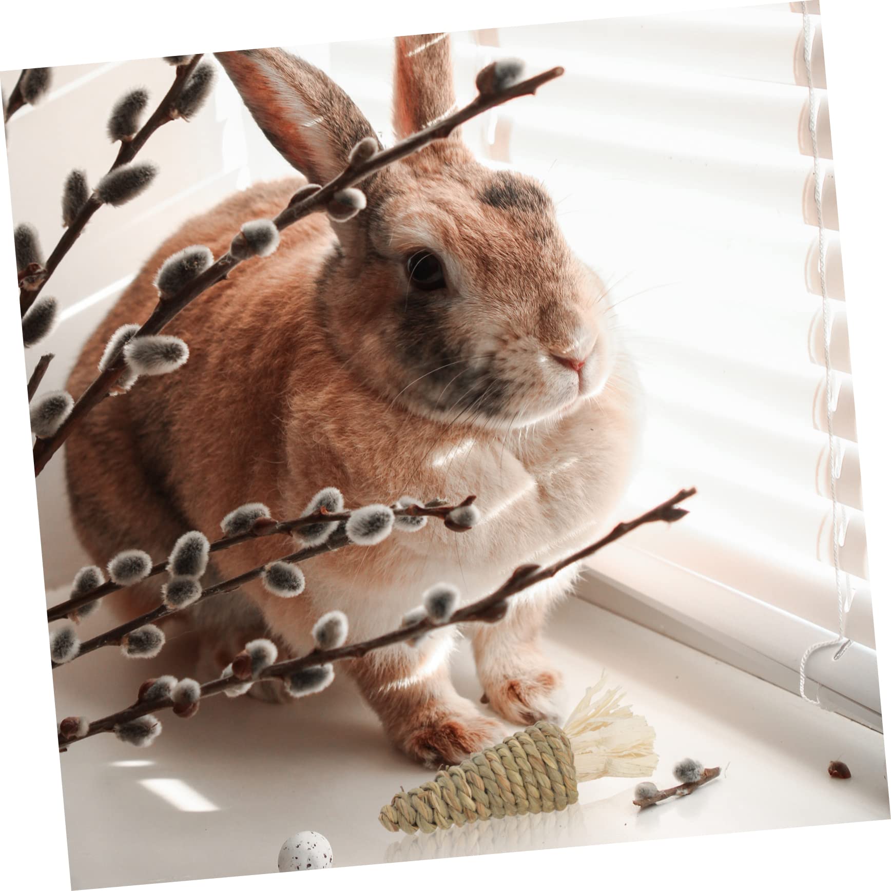 POPETPOP 3sätze Pet Kauspielzeug Karottenform Für Zahnreinigung Und Beschäftigung Geeignet Für Hamster Meerschweinchen Und Chinchillas Hellgrün Beige Teilig
