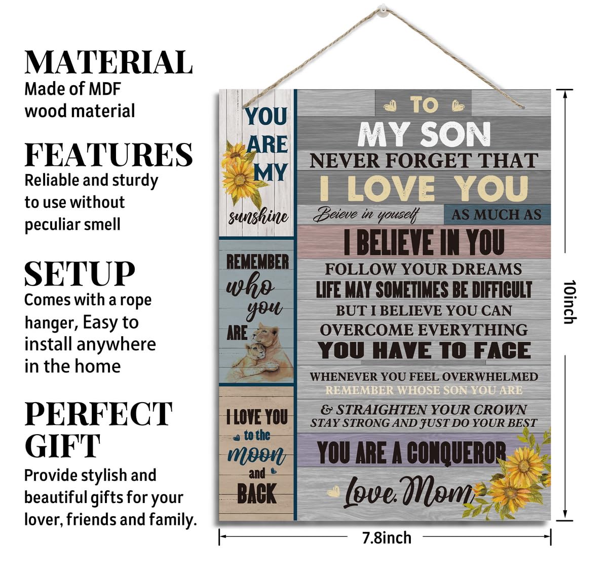 Inspirational Son Gift - Wood Wall Decor -2