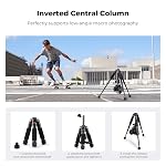 K&F Concept 21.65"/55cm Mini Tripod, Desktop Tripod with 360° Ball Head, 1/4 inch Quick Release Plate Aluminum Alloy Travel Tripod for DSLR Camera Video Camcorder, Max Load: 13.22 lbs/6 KG | Ball Head, Load up to 13.22 lbs/6 KG, 1/4 inch Quick Shoe P