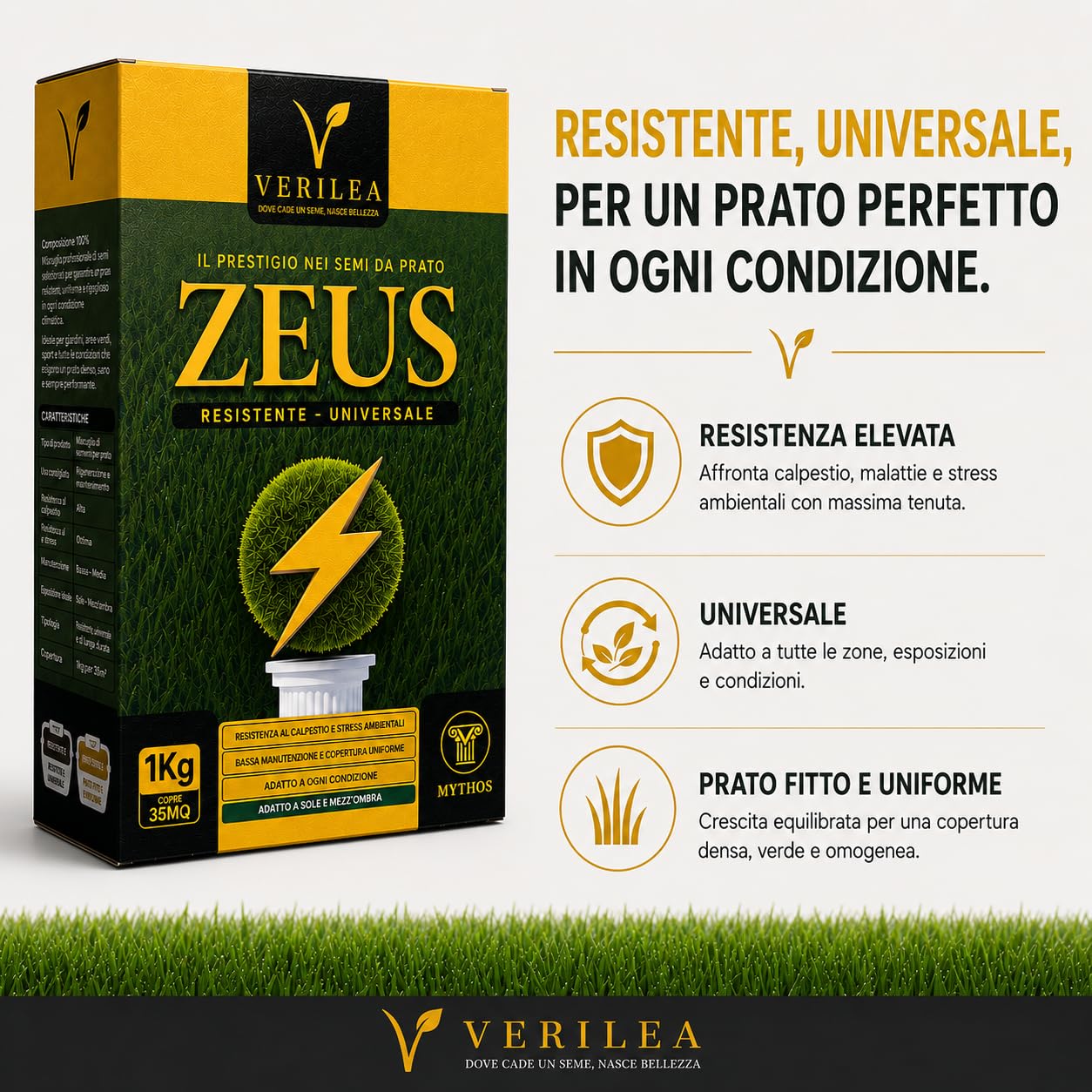 Verilea ZEUS - Semi da Prato Universale Micorrizzati, Miscela Resistente a Bassa Manutenzione, Festuca, Lolium e Poa Pratensis. (5 kg per 175mq)