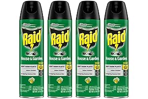 Raid Home and Garden Spray: Ultimate Pest Eliminator for Indoor and Outdoor Protection
