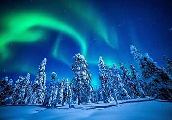 71Bslp4j23L._AC_UF350,