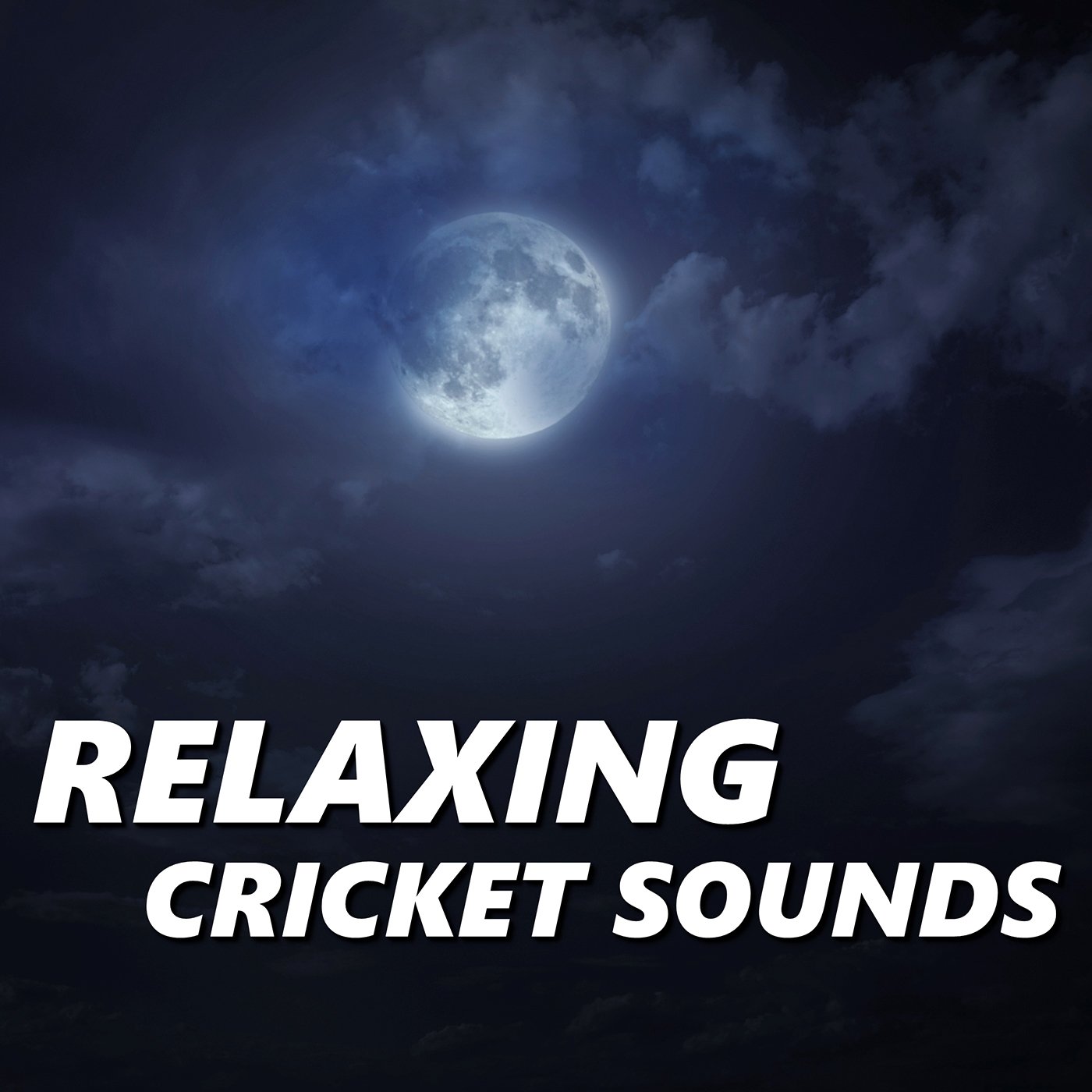 Relaxing Cricket Sounds