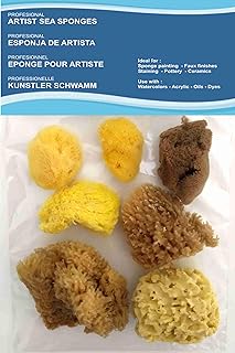 Lot de 7 &agrave; 8 &eacute;ponges de mer naturelles pour artistes - Pour art et artisanat, peinture, loisirs, effets, c&eacute;ramique, poterie, d&eacute;coration, &eacute;ponge, beaux-arts - Texture fine &agrave; large, tailles 4,5 &agrave; 9,6 cm