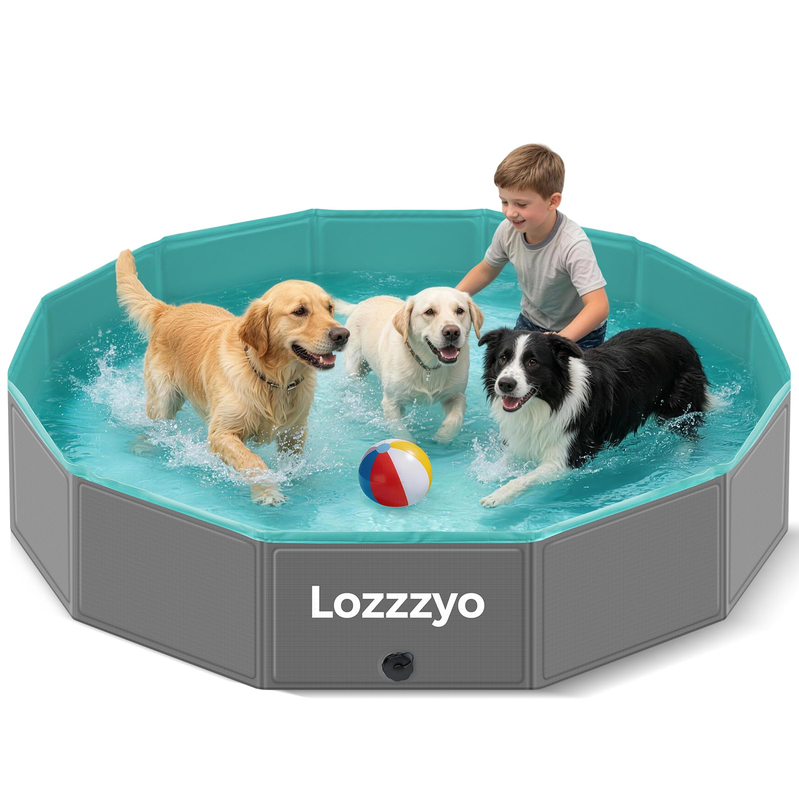 Piscina per Cani e Bambini, Piscina da Giardino Estiva Robusta Antiscivolo, Vasca da Bagno Portatile per Animali Domestici, Piscina Bambini per Giardino Spiaggia Camping (160 * 30CM)